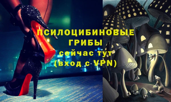 тгк Бронницы