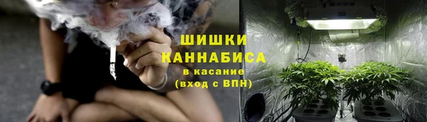 тгк Бронницы